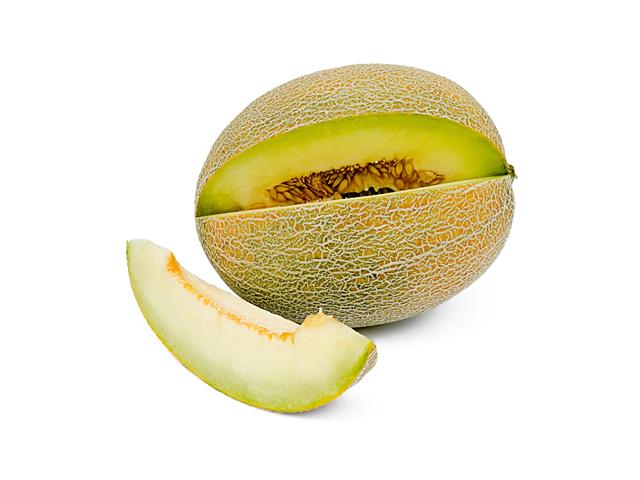 Porthos WIS Galia melon