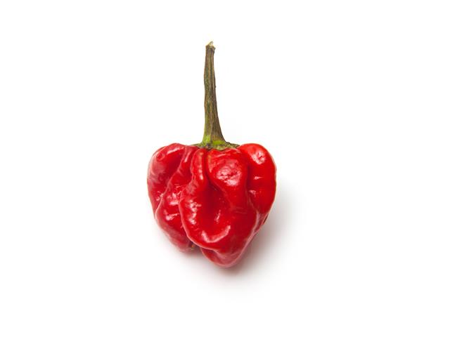 Lyle WIS Hot pepper seeds