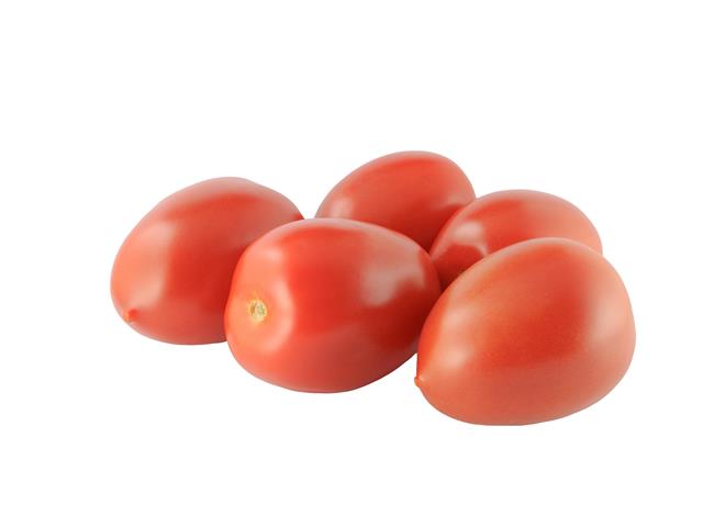Lyda WIS determinate Tomato seeds
