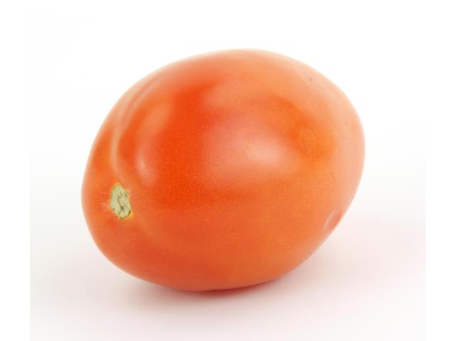 Theressa WIS indeterminate roma tomato seeds
