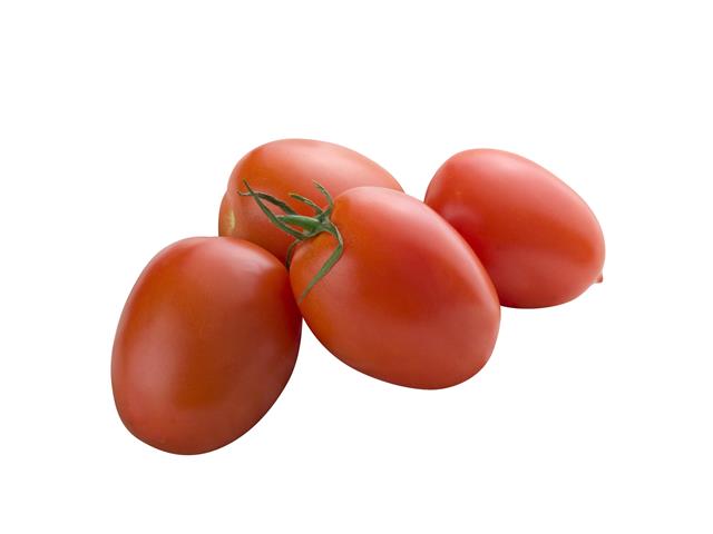 Gilda WIS indeterminate roma tomato