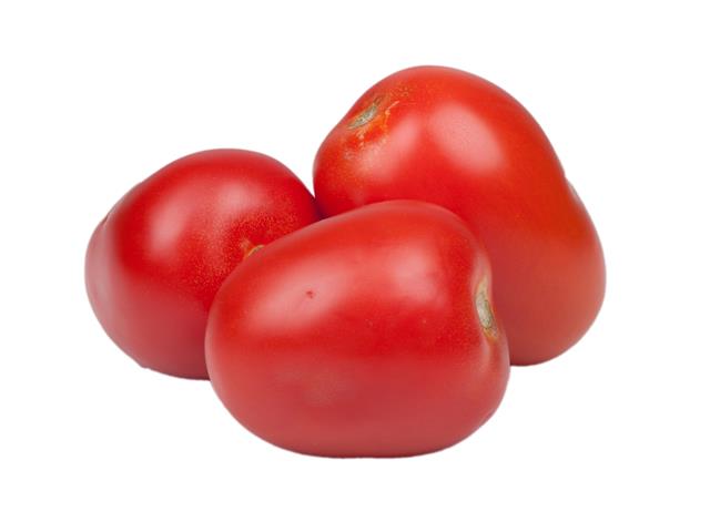 Carla WIS indeterminate roma tomato