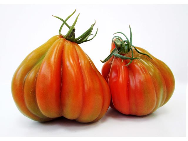 Claude_WIS Cour Di Bue tomato