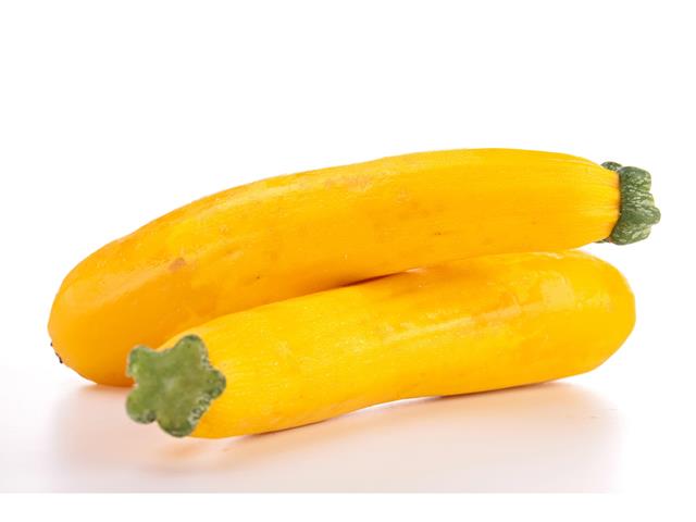Golden Sun WIS yellow zucchini