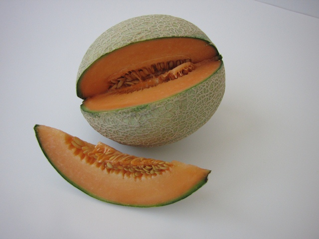 Cantaloupe type melon 55-448 p1