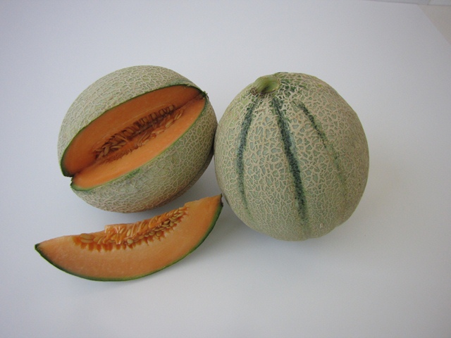 Cantaloupe type melon 55-448 p2