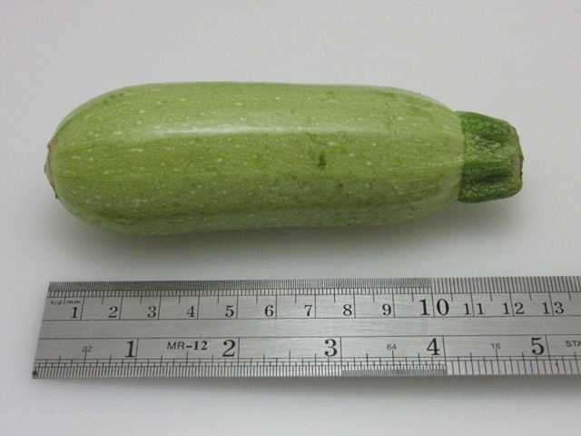 Light green Zucchini 90-374 p1